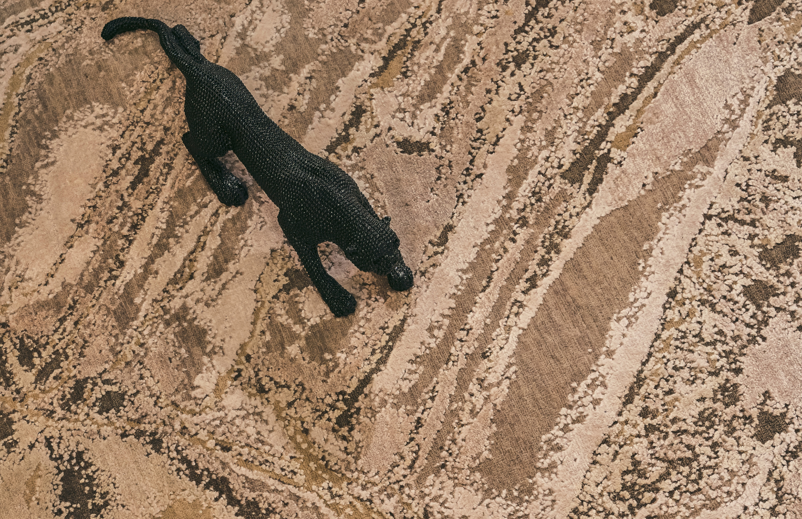 Overhead view of a sleek black, four-legged pet with a curved tail crossing pale, rippled sand; the stark contrast creates a quiet, solitary mood.