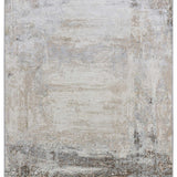 Abstract area rug with a neutral color palette, featuring a blend of beige, gray, and white tones. The textured pattern creates a serene, rustic appearance.